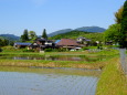 田植えの季節 山村風景