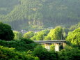 山間部の橋と山の集落