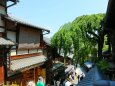 新緑の京都の町