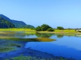 初夏の水辺