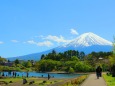 新緑の河口湖