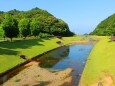 初夏の水辺