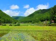 初夏の里山