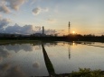 水田に水鏡の夕日