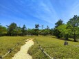 初夏の大台ケ原