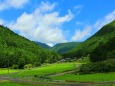 初夏の里山