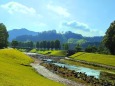 初夏の水辺