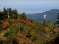 富山湾を望む