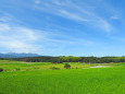 山里 田園 夏