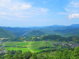 山里の夏