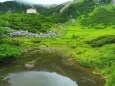 夏の駒ヶ岳剣ヶ池