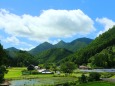 夏の里山