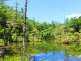 夏の明神池