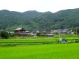 夏の終わり 里景色