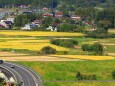 初秋の平泉