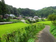 秋の始まり 静かな山村集落