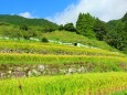 秋の里山