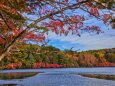 白駒池、秋景