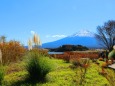 秋の河口湖