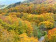 秋の栂池高原