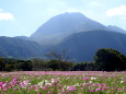 目前に広がる花園と雲仙の山