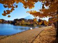 秋の河口湖