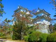 秋の伊賀上野城