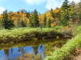 秋の栂池自然園