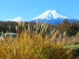 秋の忍野八海