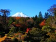 秋の忍野八海