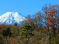 秋の忍野八海