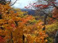 秋の栂池自然園