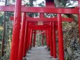 秋の萬蔵稲荷神社③