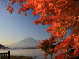 河口湖の紅葉