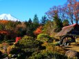 秋の忍野八海