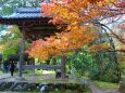 秋の京都高雄