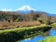 秋の忍野八海