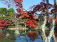 秋の高台寺