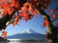 紅葉の中の富士山