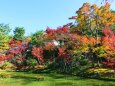 秋の高台寺