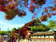 秋の八坂神社