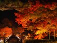 秋の夜散歩