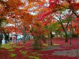 秋の天龍寺