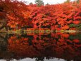 秋の雲場池