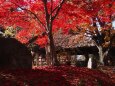 秋の懐古園