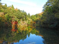 晩秋11 公園の池