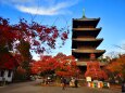 初冬の名古屋興正寺