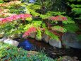 初冬の徳川園