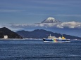 駿河湾からの富士