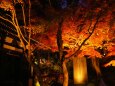 秋の夜の長谷寺